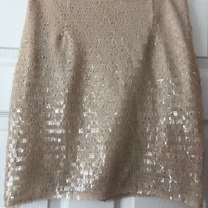 Shimmery Sequin Mini Skirt